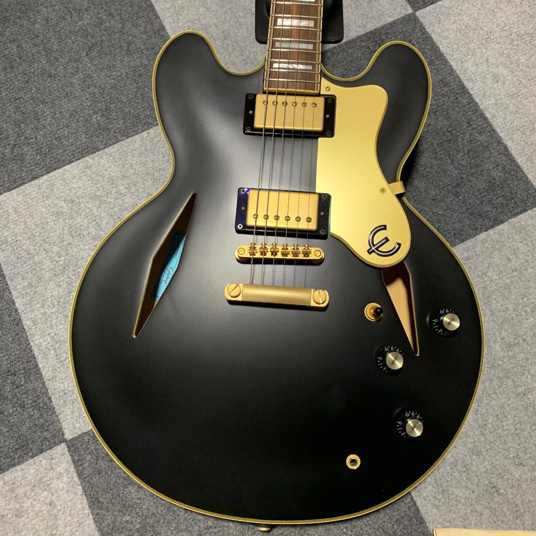 ギター Epiphone Emily Wolfe Sheraton Stealth