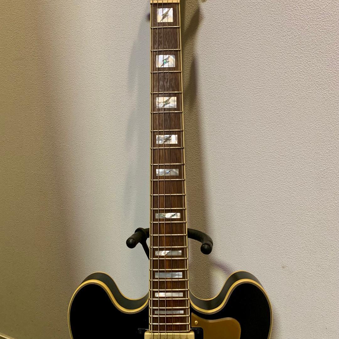 ギター Epiphone Emily Wolfe Sheraton Stealth