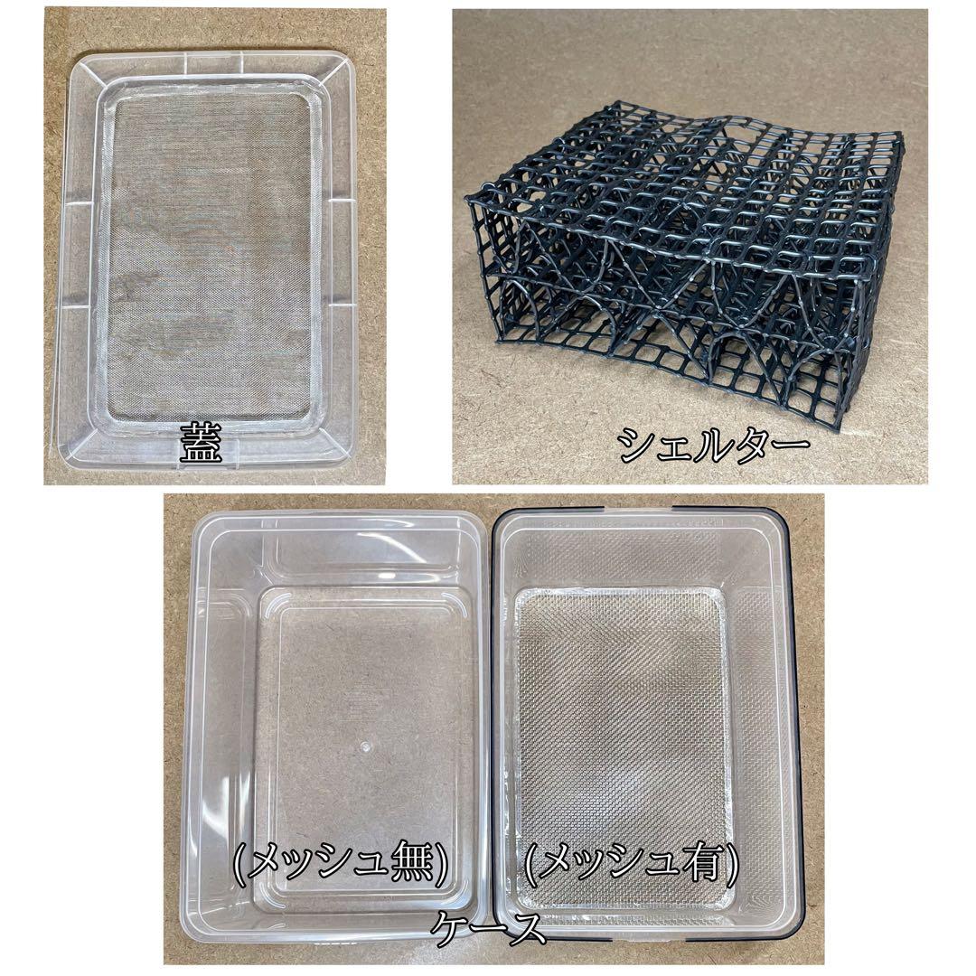 山岸哲也様　M (エ、水、シェ×2)