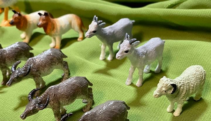 牧場の動物  の サイズ見本です《見本》