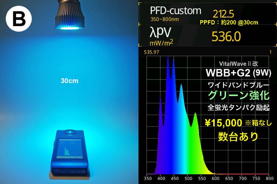 特別仕様 バイタルウェーブⅡ改 ワイドバントブルー