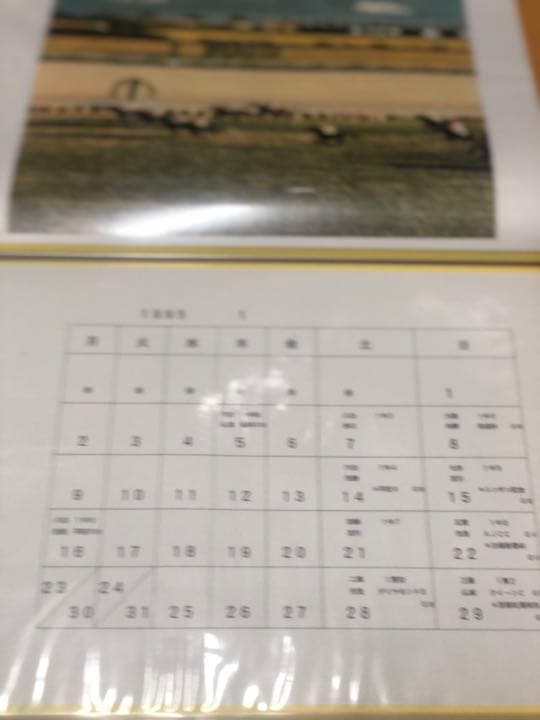 競馬 馬友会95 データアルバム