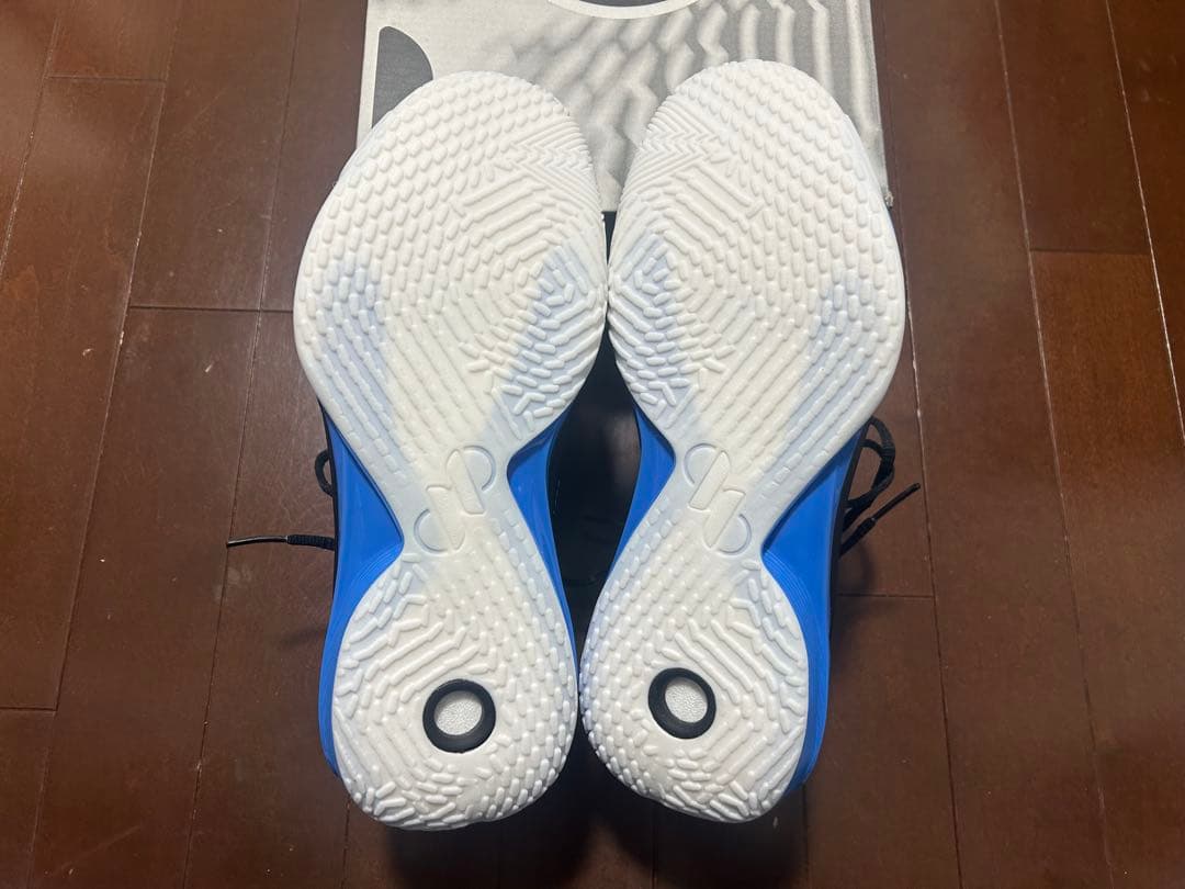 LI-NING SPEED Ⅺ us 9.5 リーニン スピード 11
