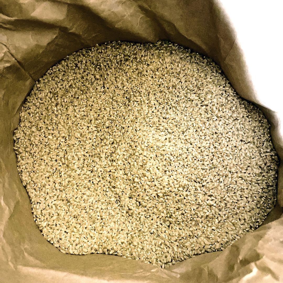 令和７年産　熊本県産　くまさんの輝き　玄米　30kg 送料込　お米　農家直送