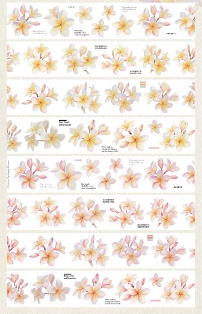 娜娜工坊《粉俏凝露》海外マスキングテープ マステ 【2714】