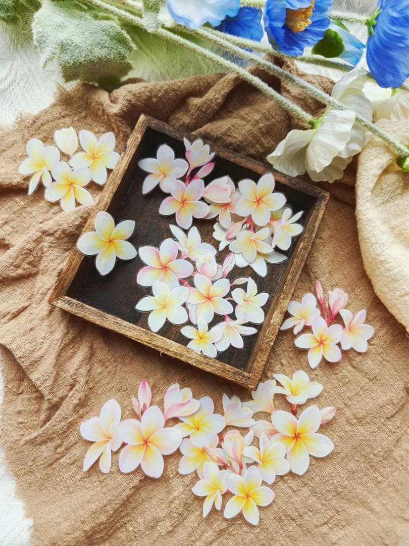 娜娜工坊《粉俏凝露》海外マスキングテープ マステ 【2714】