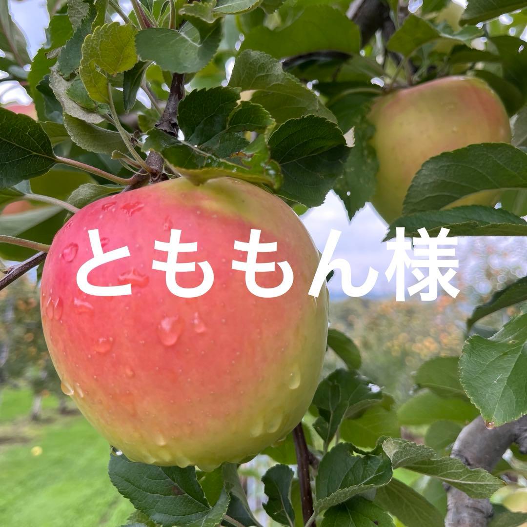 とももんページ✨10kg