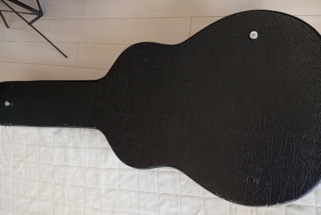 RainSong “Made in U.S.A.”エレアコ w/OHC EX+