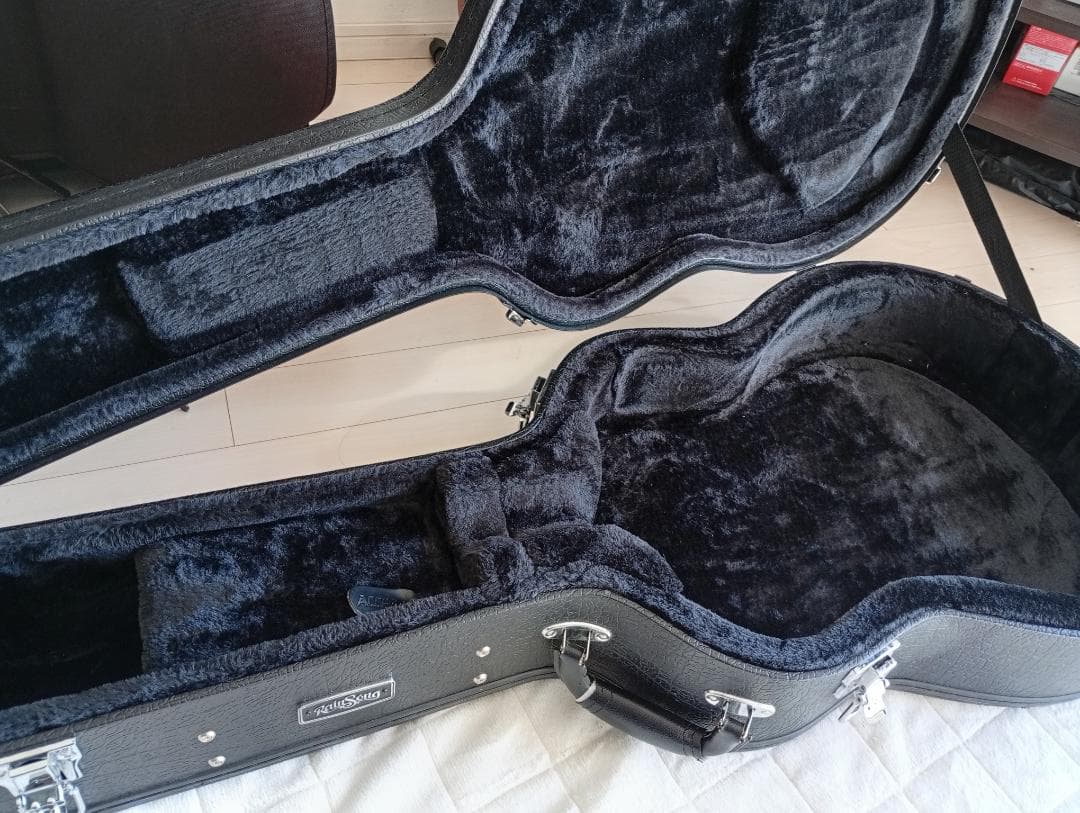 RainSong “Made in U.S.A.”エレアコ w/OHC EX+