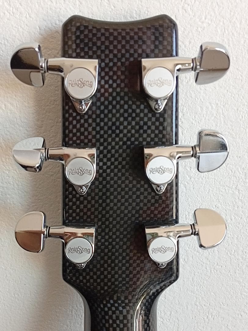 RainSong “Made in U.S.A.”エレアコ w/OHC EX+