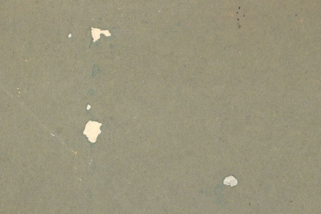 No4650扁額装　頼聿庵(春嶂) 二字書　紙本　書画　書道　古美術　送料無料