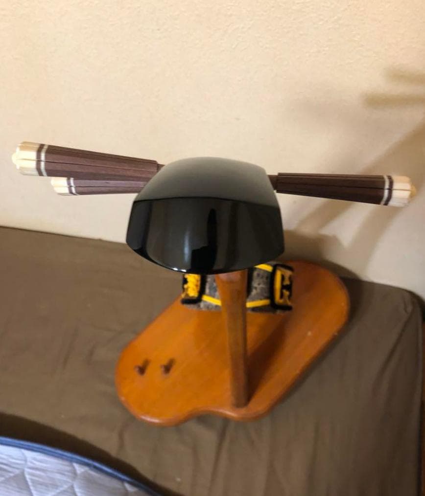 八重山赤ユシギ三線