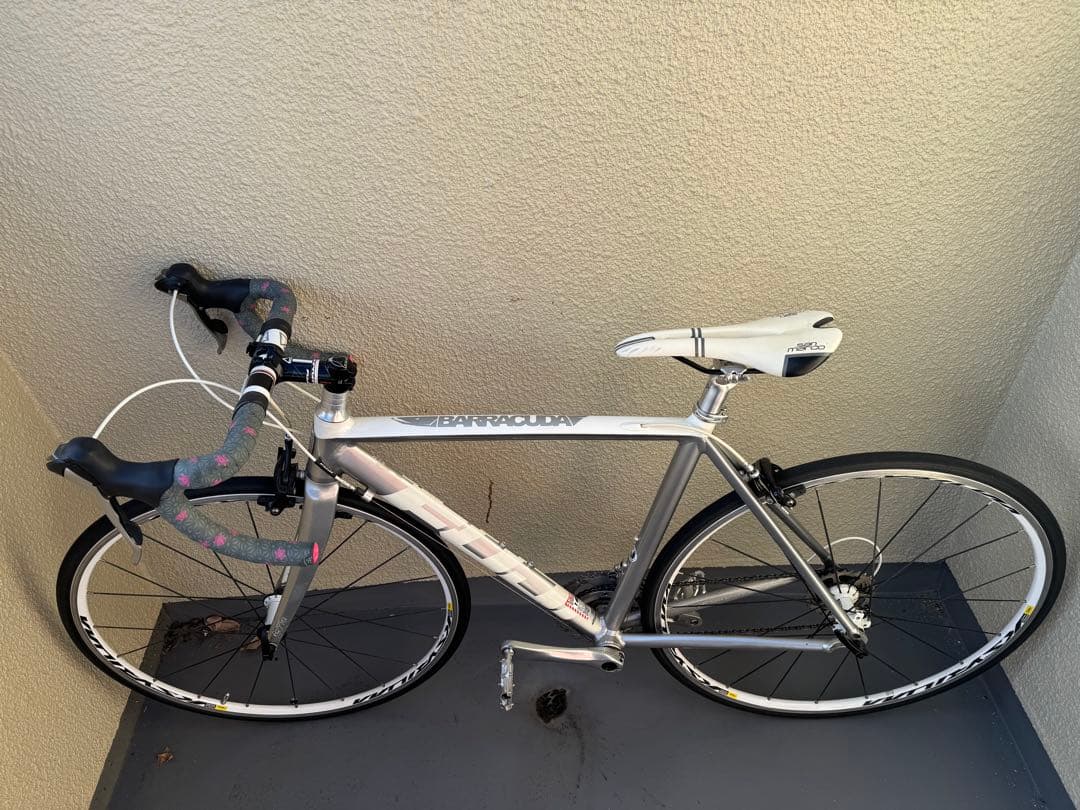 フジ　バラクーダ