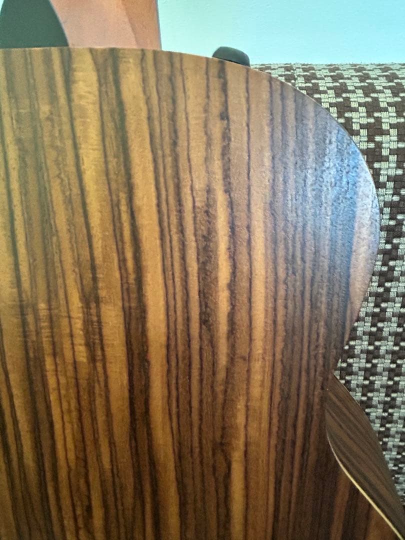 Taylor GS mini 50周年記念モデル