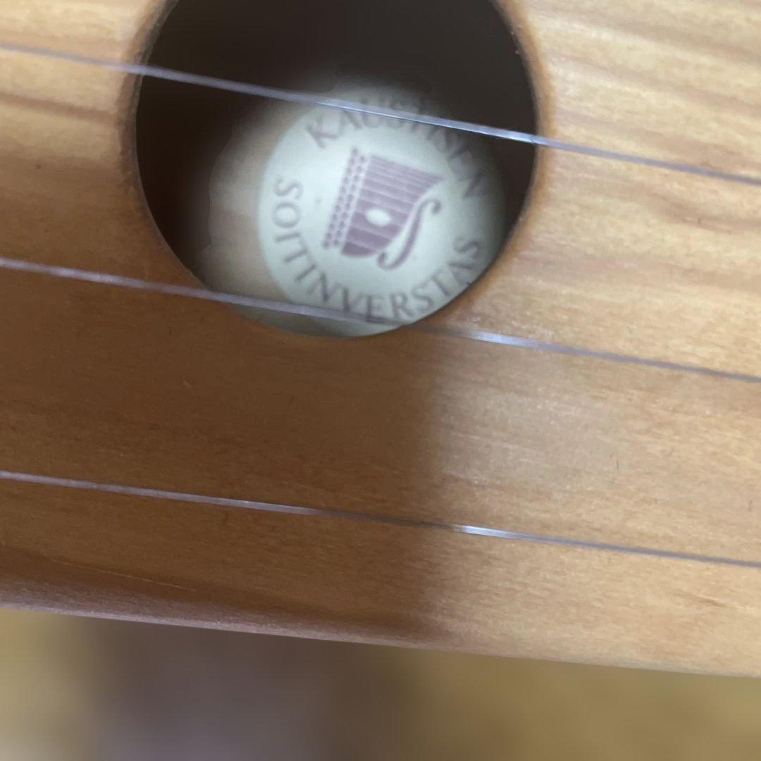 値下げしました‼️ 楽器カンテレ 5弦式