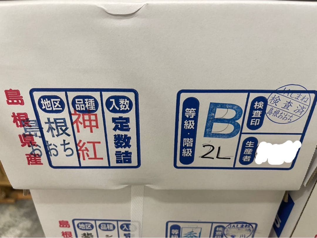 ②【島根県産】神紅(しんく)ぶどう約2キロ(3〜4房)