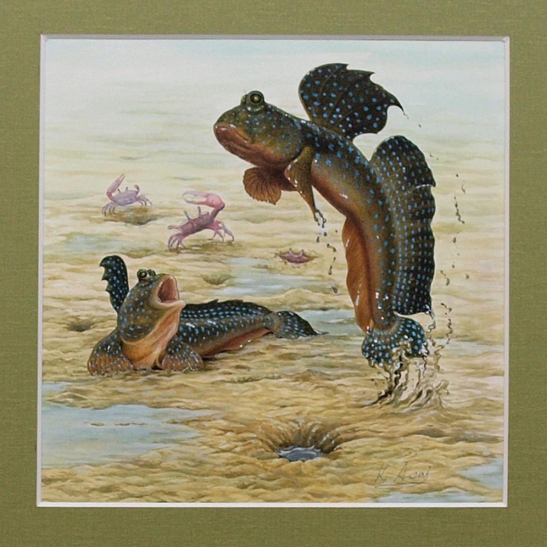 【絵画】ネイチャーアート　「ムツゴロウ」原画