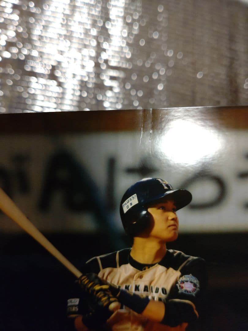 大谷翔平 2013 ハイライトフォト No.375 日本ハム 球団公式写真