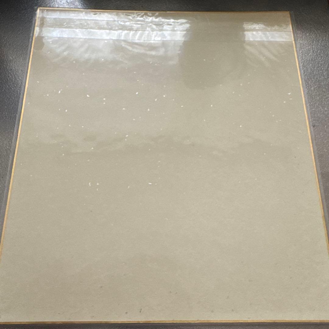 プリンセスプリンセス　直筆サイン色紙　90年代レア