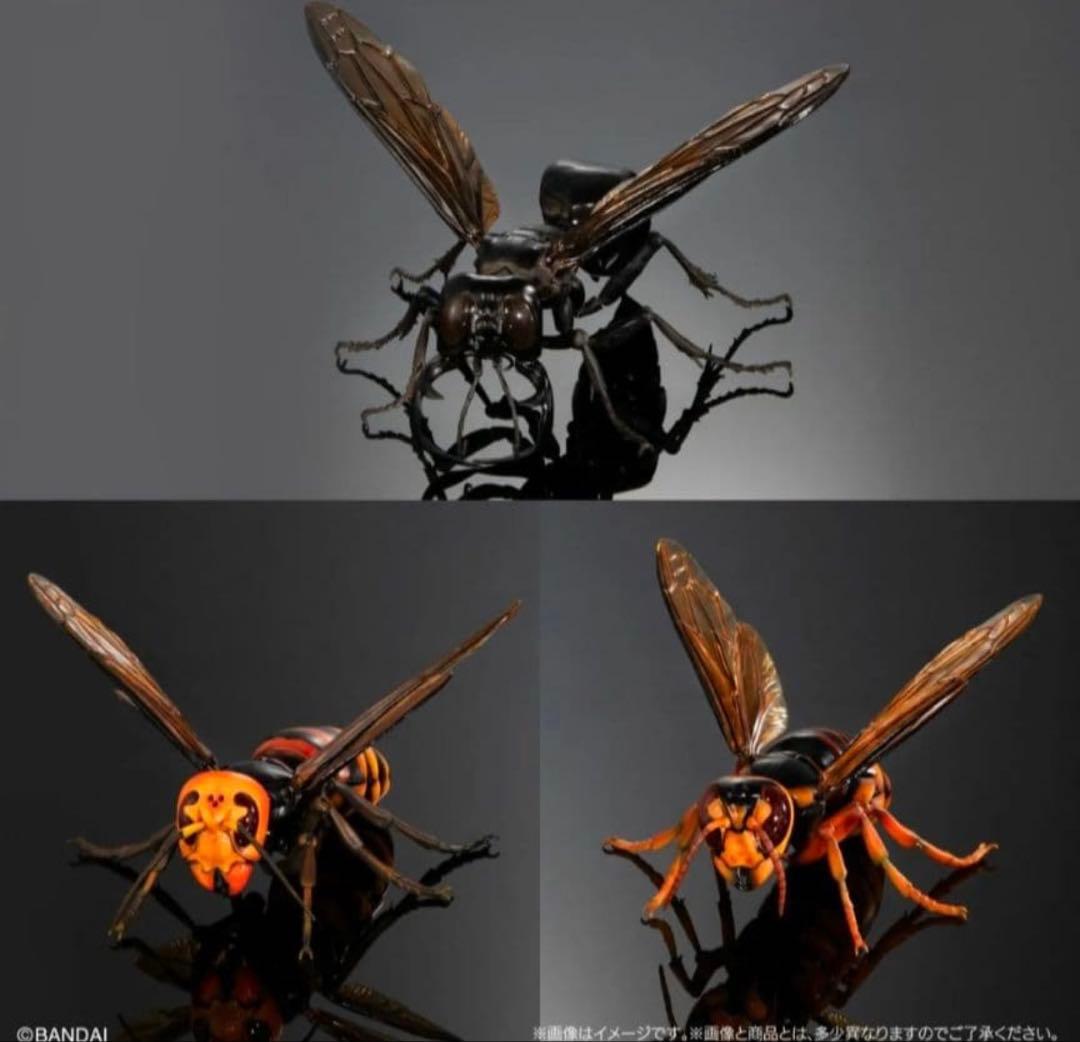 ガシャポンオンライン版 いきもの大図鑑 アドバンス スズメバチ 02 全3種