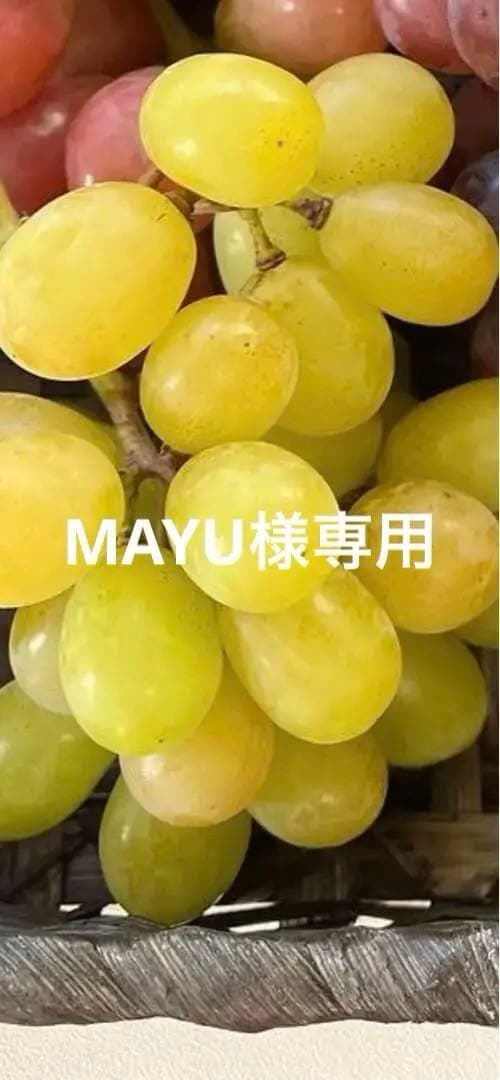 果物 mayu