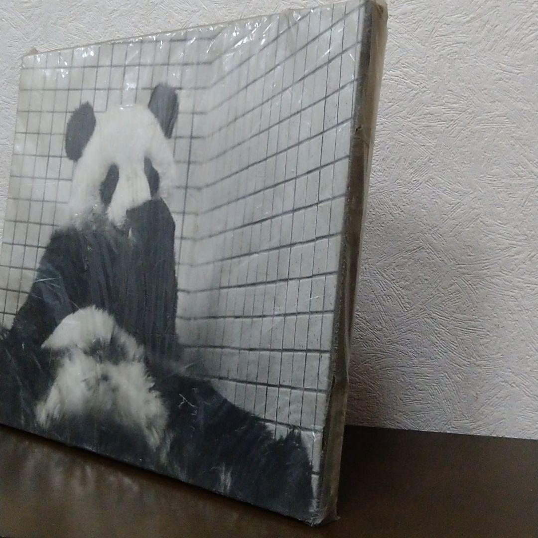 ジャイアントパンダカンカン(康康) パネル写真