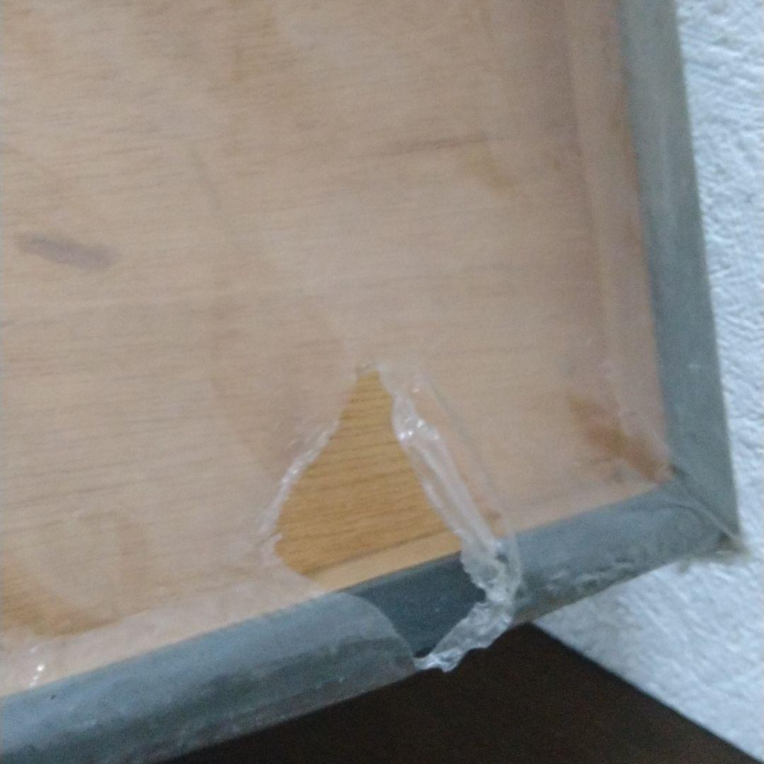 ジャイアントパンダカンカン(康康) パネル写真