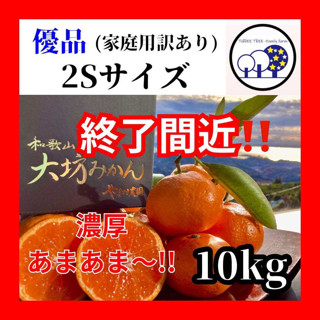 ⑥温州みかん 樹熟大坊みかん 優品(家庭用傷あり)2Sサイズ10kg