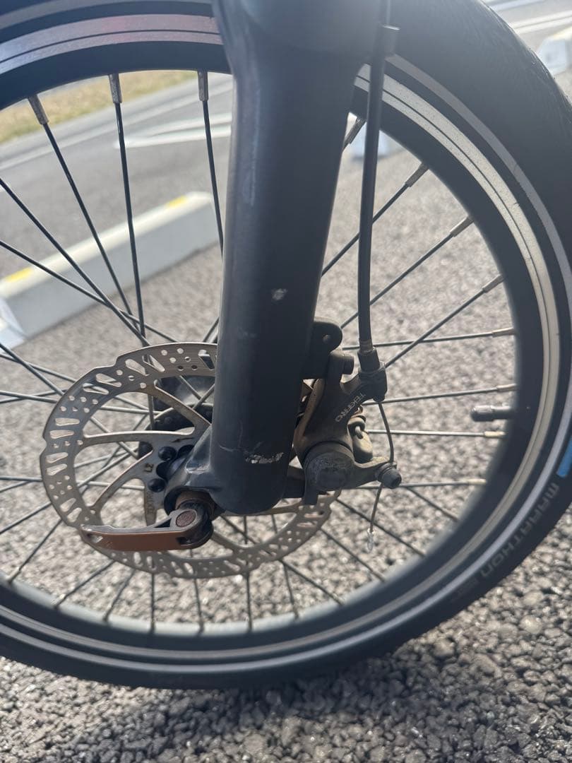 MATE CITY ゴールデンオリーブ 完売カラー 希少カラー