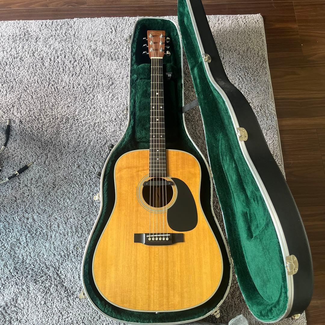 Martin D-28 Standard fishmanピックアップ