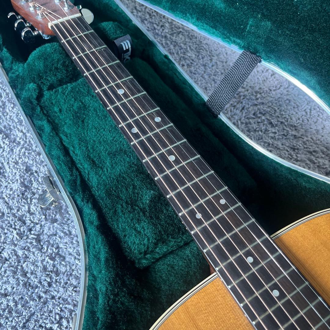 Martin D-28 Standard fishmanピックアップ