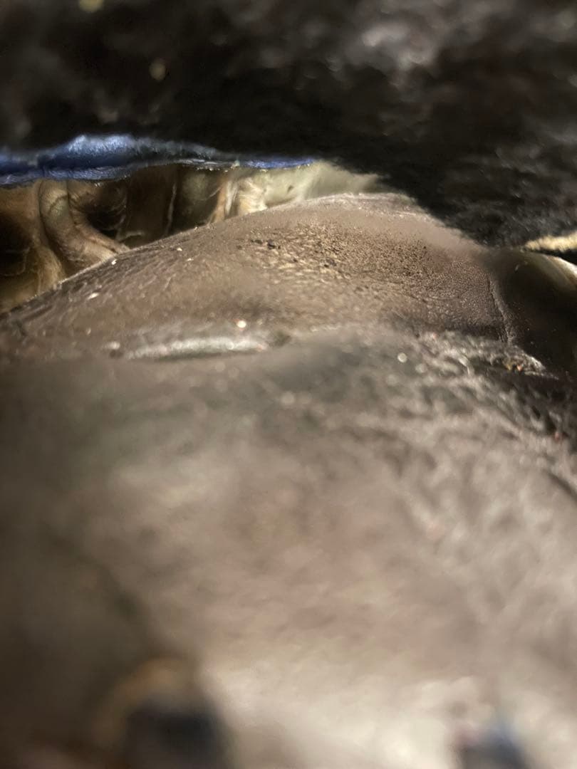 スペシャルオーダー　ハイゴールド　野球 軟式グローブ 一般用　大人　右投げグラブ