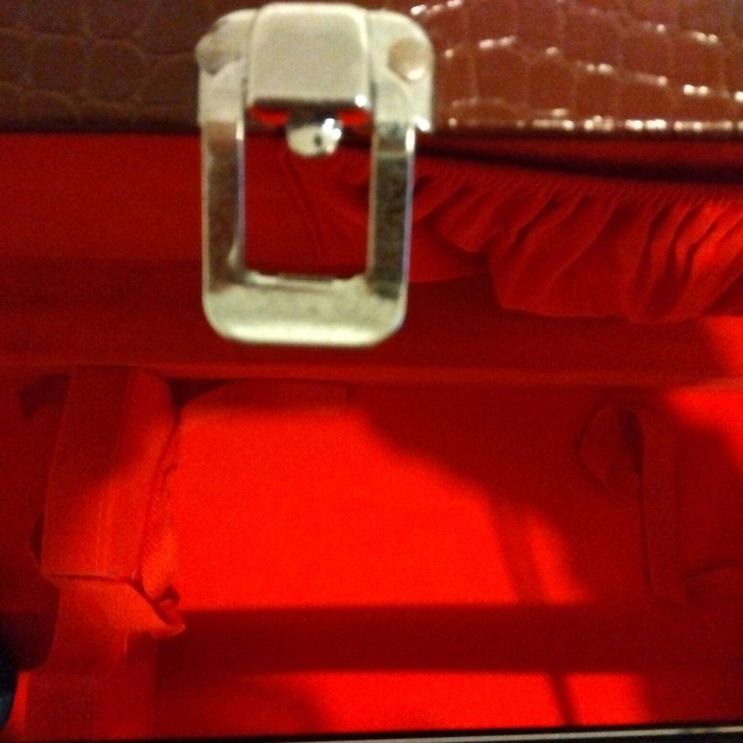 三線本体 蛇皮 金色刺繍 ケース付き