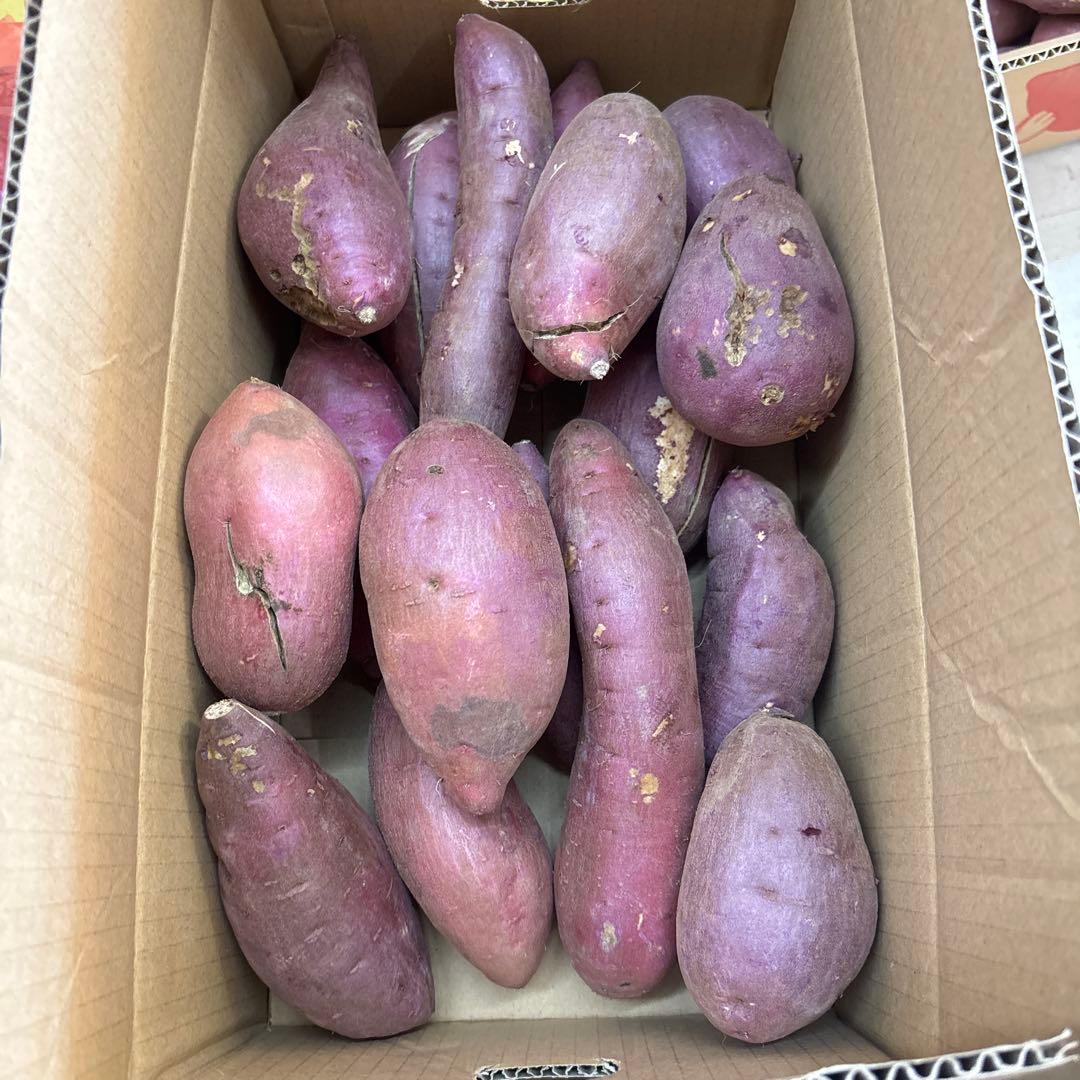 紅はるか　5キロ　MからL