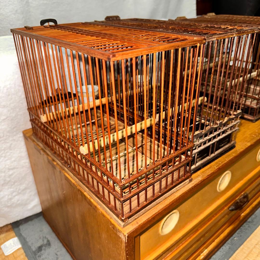 手作りメジロ籠4カゴ&手作りメジロ寝かせ箱のセット‼️