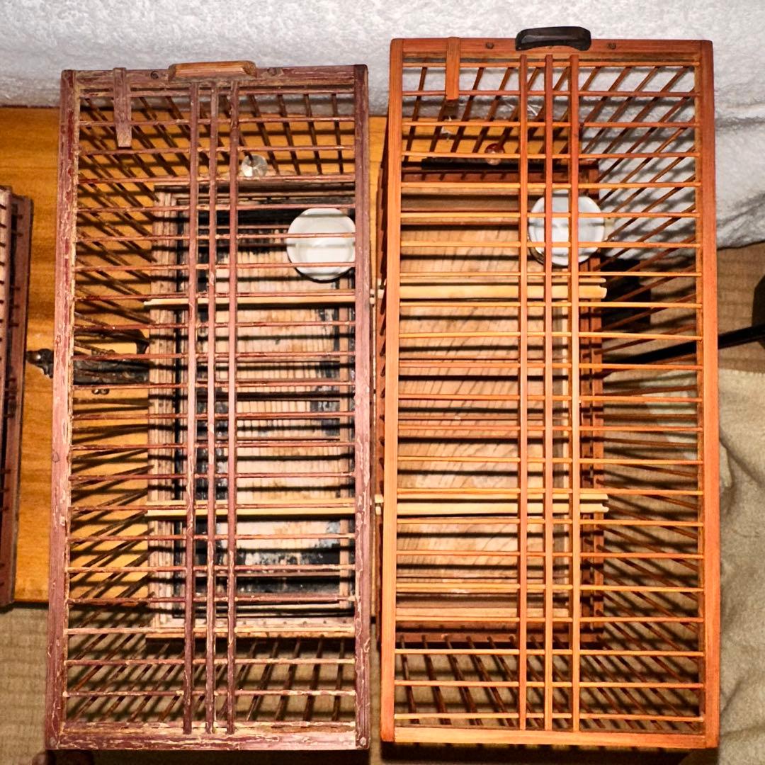 手作りメジロ籠4カゴ&手作りメジロ寝かせ箱のセット‼️