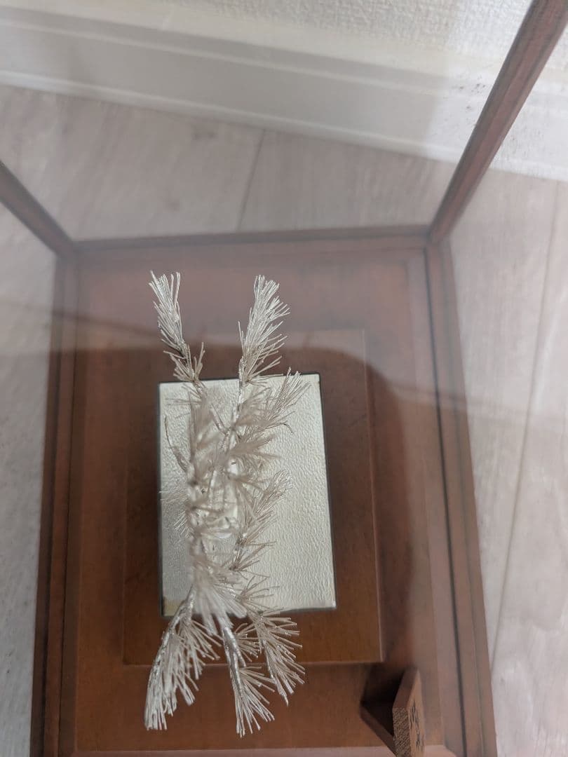 純銀製 松 盆栽 光則作 ガラスケース付 幅15cm 奥行11m 高さ16cm