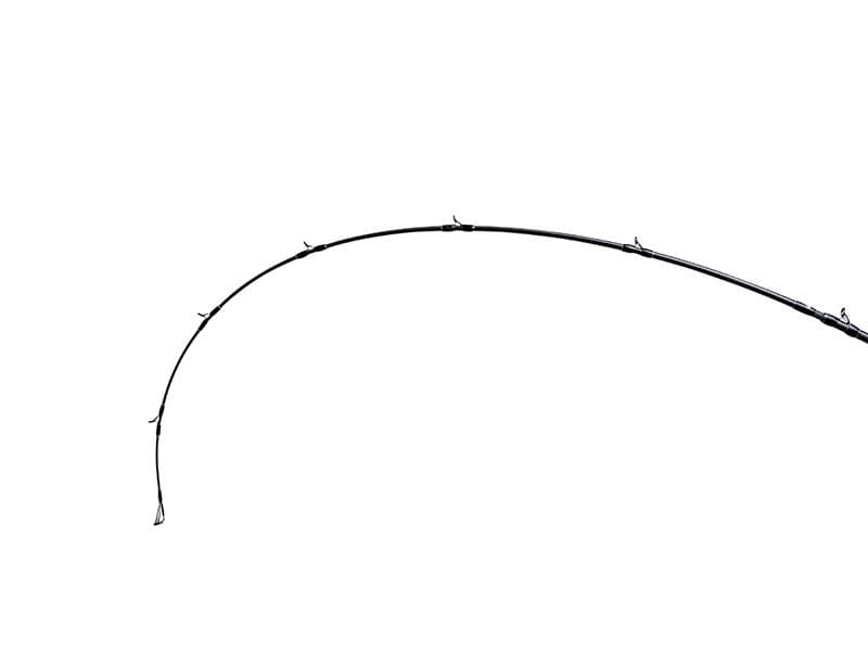 【Fishman】 BRIST comodo 7.5H（ブリスト コモド）/*