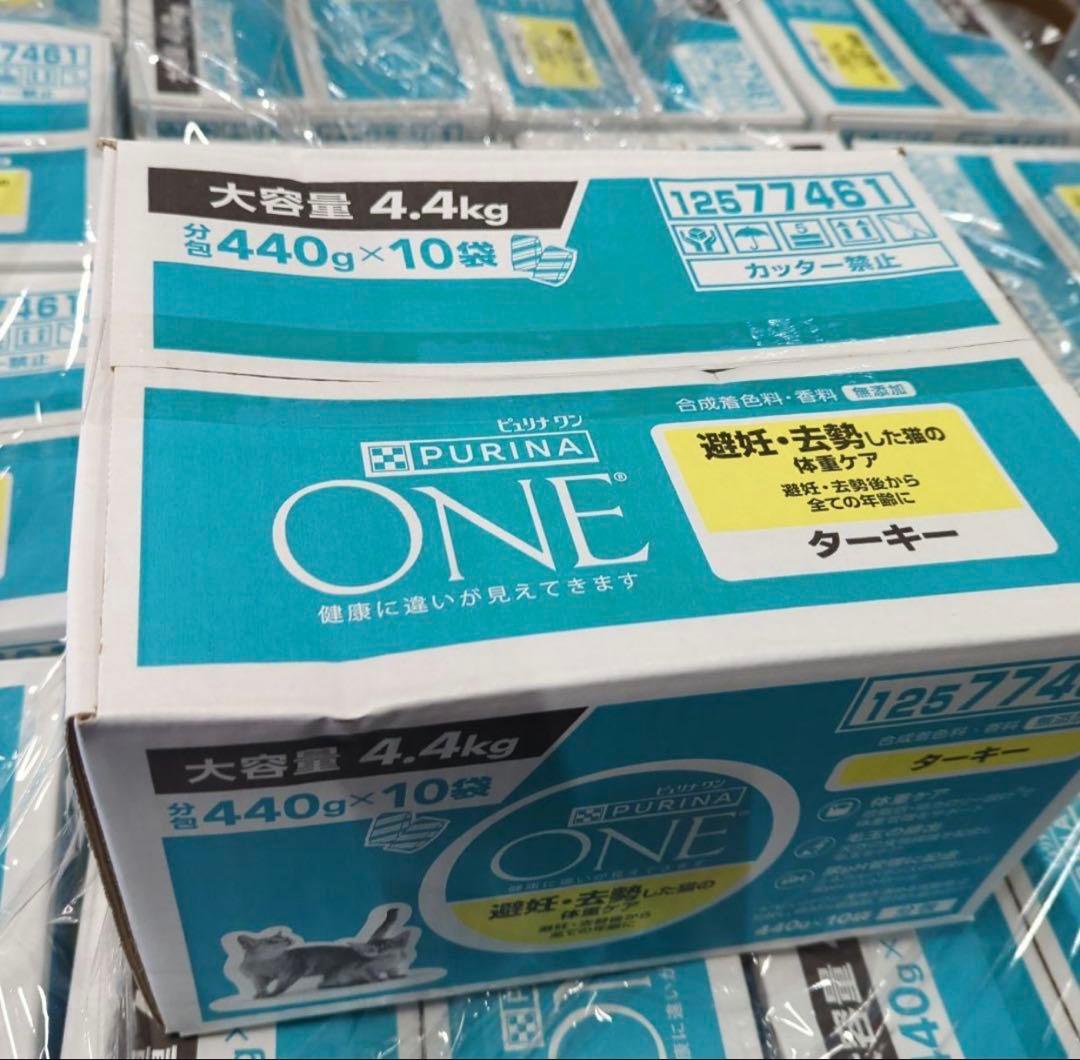 6箱ピュリナ ワン キャットフード ターキー 4.4kg賞味期限：2026.02