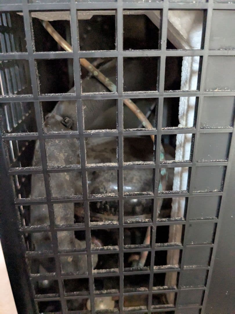 【中古】ゼンスイzc-100α