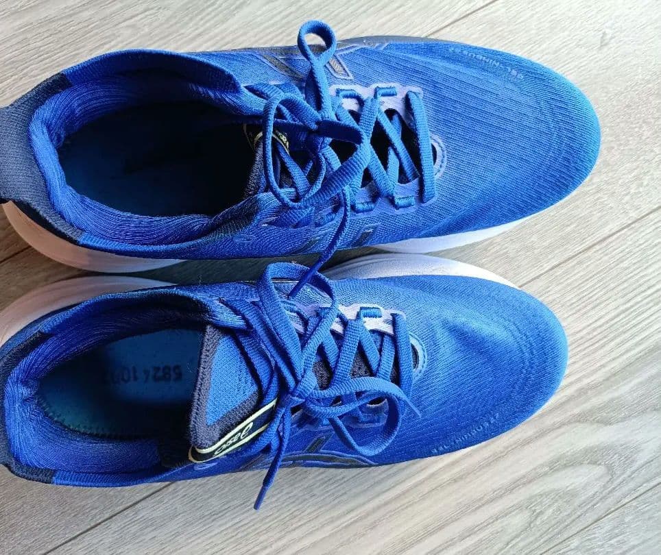 ASICS ゲルニンバス27 25cm GEL-NIMBUS 27