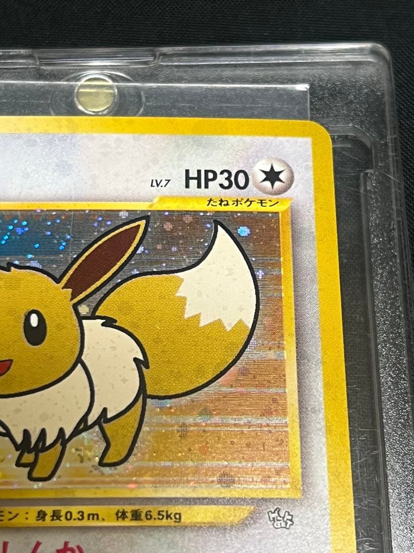 【安心安全】Pokéca 旧裏　ポケモンカード激レア　ファンクラブイーブイ