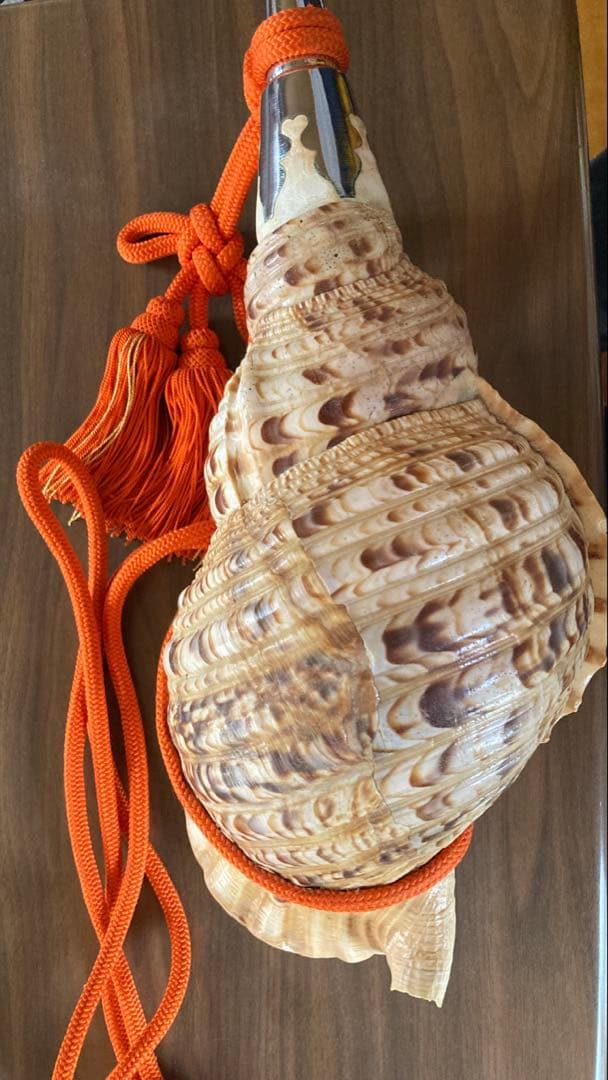 法螺貝 大型40cm 以上　吹き口付き 網袋・房付き 修験道 山伏
