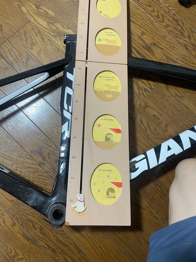 な*な様 GIANT TCR カーボンフレーム