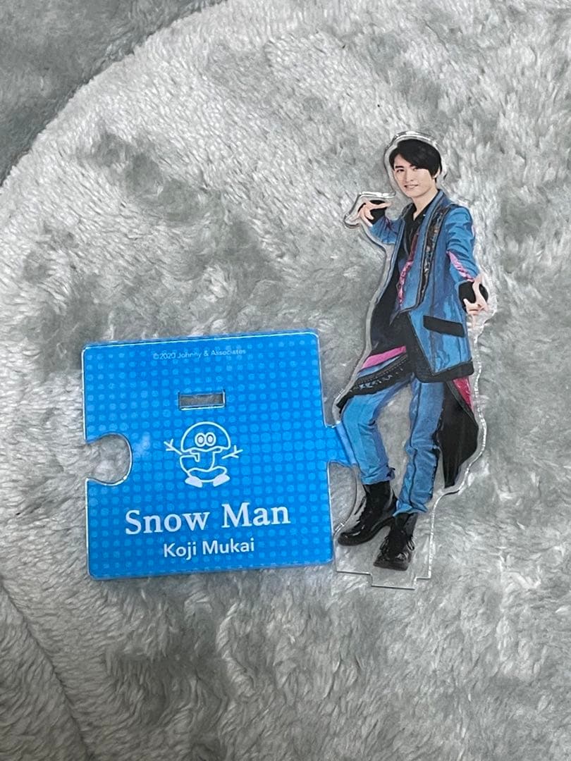 向井康二 アクスタ