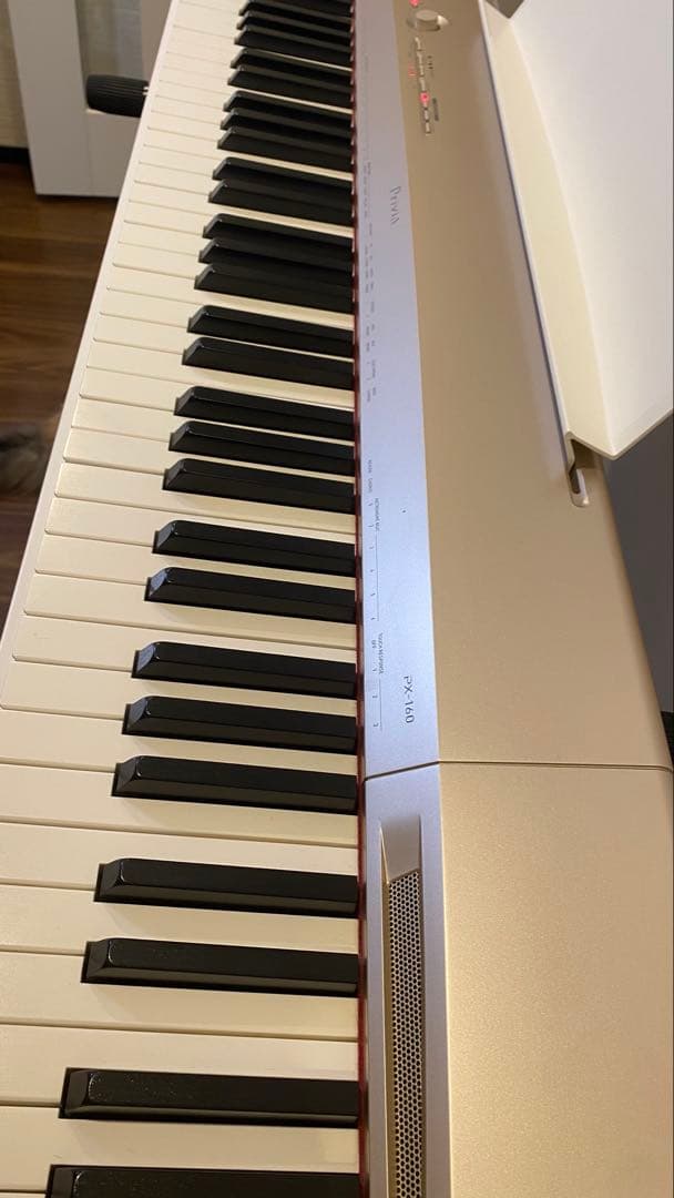 CASIO カシオ 88鍵盤 電子ピアノ Privia PX-160GD