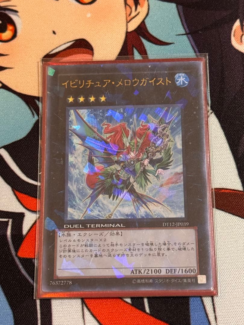 1103 汎用　エクシーズ　セット