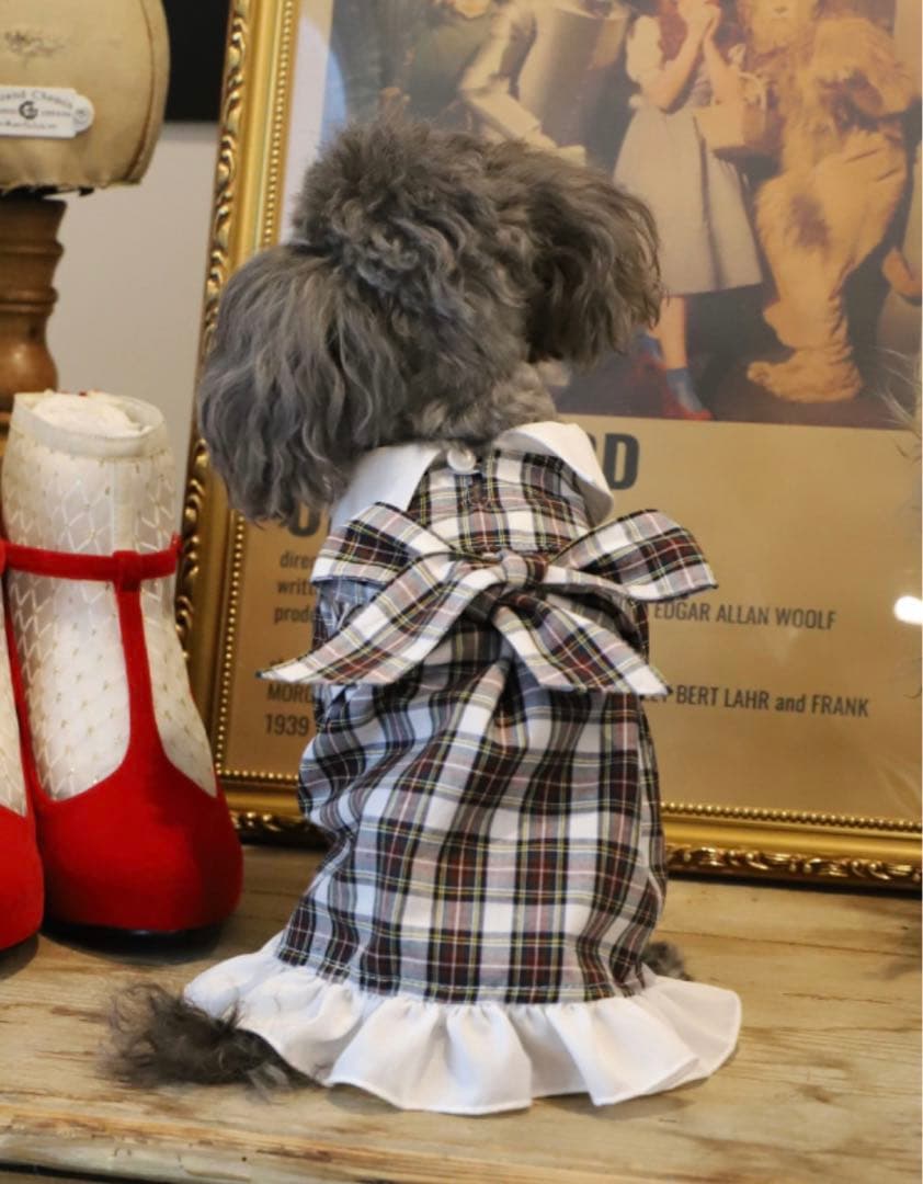 アトリエgg ドロシー　16