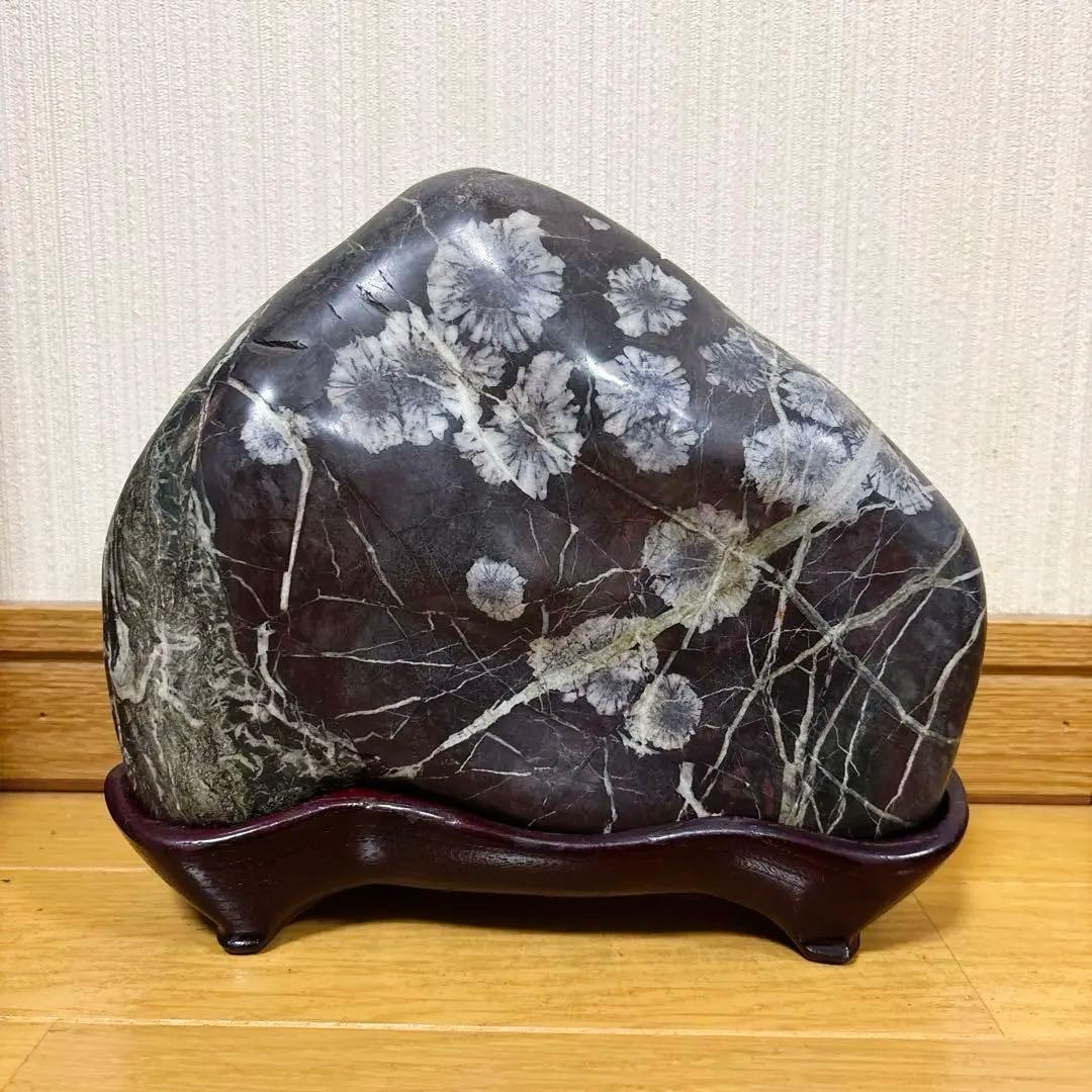 Jページ 菊花石