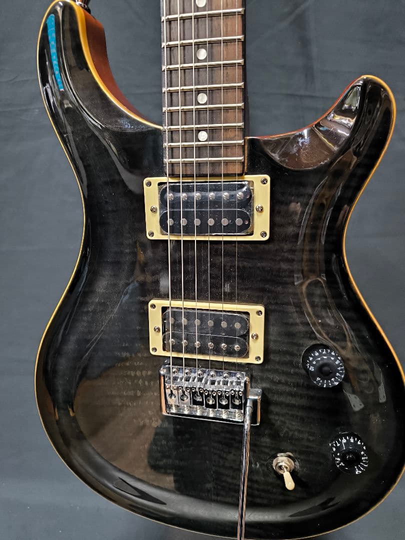 SELVA エレキギター PRS タイプ イシバシ楽器ブランド
